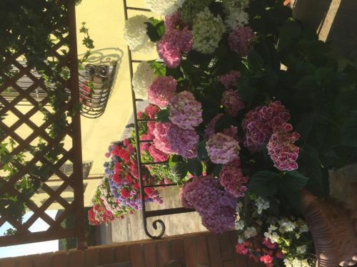 Albergo Il Gufo Parma Exterior photo