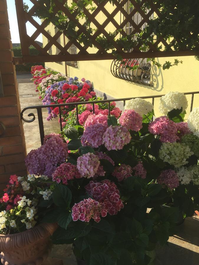 Albergo Il Gufo Parma Exterior photo